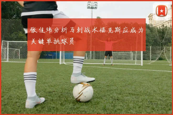 张佳玮分析马刺战术福克斯应成为关键单挑球员