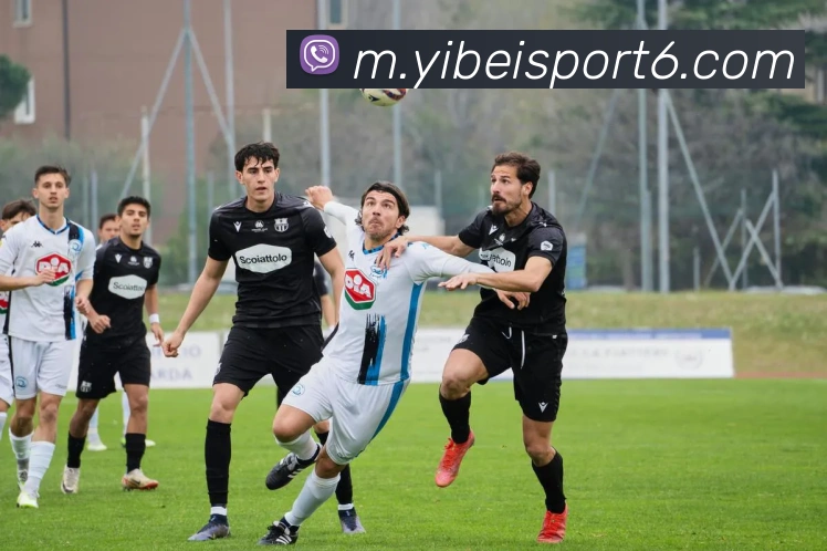 App Interface Preview